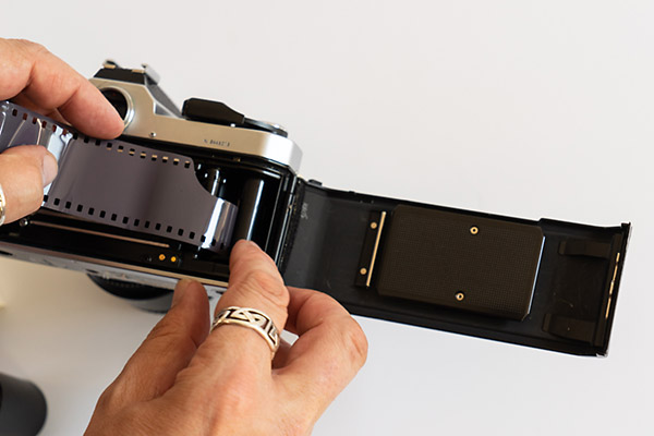 Seis vertical Comercio Cómo usar una cámara analógica - Fotografía 35 mm paso a paso