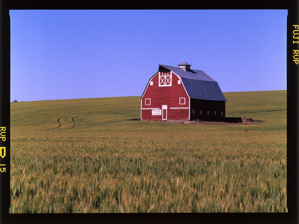 Fujichrome Velvia 50